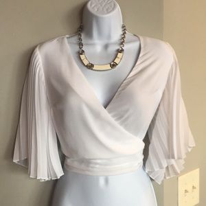 Express Sheer Crop Blouse